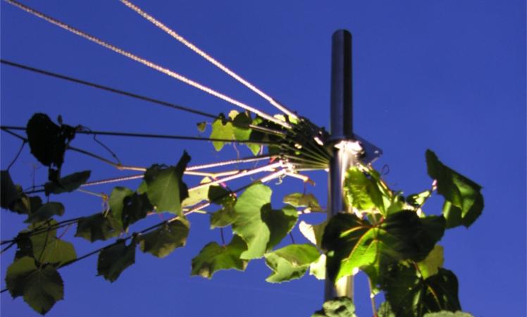Preisanfrage Serie 160: Design-Pergola mit Ranksegel Serie 160 